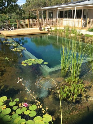 Natural-Swimming-Pools-Australia-Plants