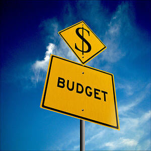 Budget is among the most important questions to ask landscape clients.